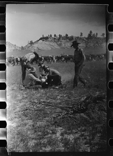 Untitled photo, possibly related to: Branding, Quarter Circle U Ranch roundup, Montana
