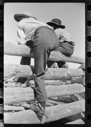 Untitled photo, possibly related to: Dude girls on a corral fence, Montana