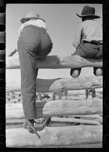 Untitled photo, possibly related to: Dude girls on a corral fence, Montana
