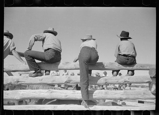 Untitled photo, possibly related to: Dude girls on a corral fence, Montana