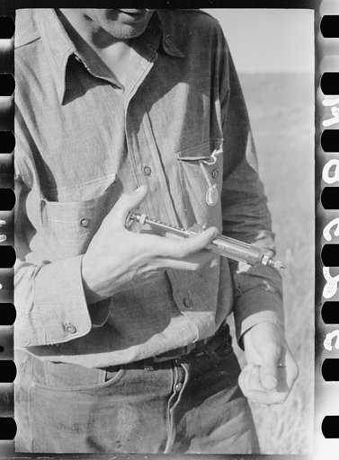 Syringe used in immunization against blackleg, Quarter Circle U roundup, Montana
