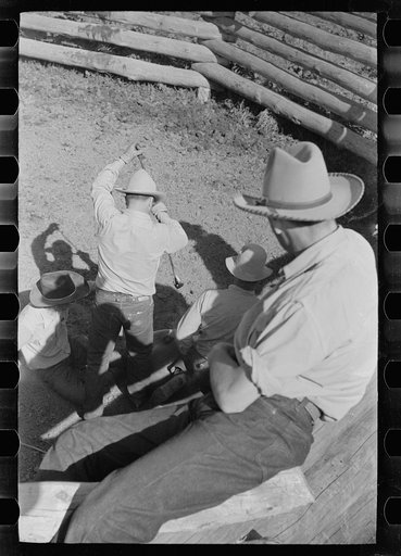 Untitled photo, possibly related to: Roping colt for branding, Quarter Circle U roundup, Montana