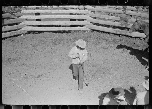 Untitled photo, possibly related to: Roping colt for branding, Quarter Circle U roundup, Montana