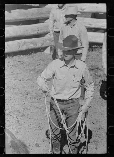 Untitled photo, possibly related to: Roping colt for branding, Quarter Circle U roundup, Montana