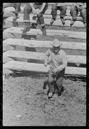 Untitled photo, possibly related to: Branding a colt, Quarter Circle U roundup, Montana