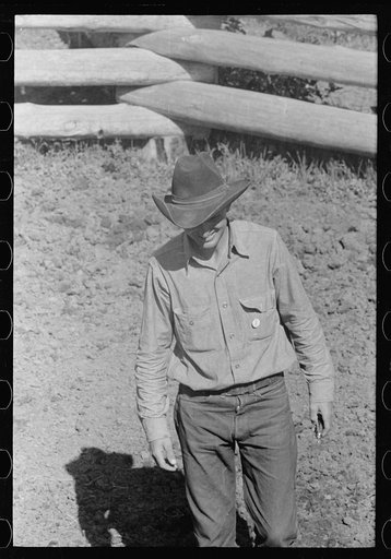 Untitled photo, possibly related to: Branding a colt, Quarter Circle U roundup, Montana