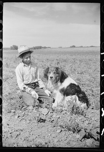 Untitled photo, possibly related to: Young sugar beet worker with dog, Treasure County Montana