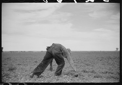 Untitled photo, possibly related to: Sugar beet workers, Treasure County, Montana
