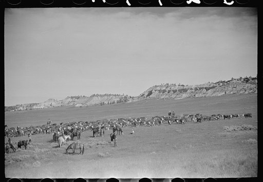 Untitled photo, possibly related to: Quarter Circle U roundup, Montana