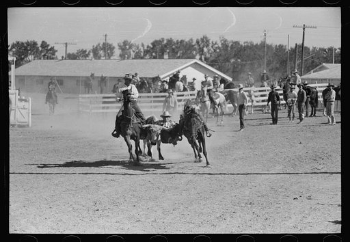 Untitled photo, possibly related to: Bulldogging, rodeo, Miles City Montana