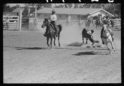 Untitled photo, possibly related to: Bulldogging, rodeo, Miles City Montana