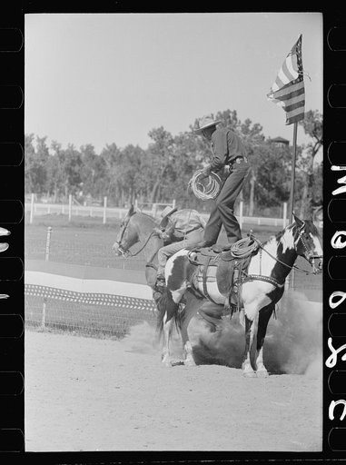 Untitled photo, possibly related to: Trick roper at rodeo, Miles City, Montana