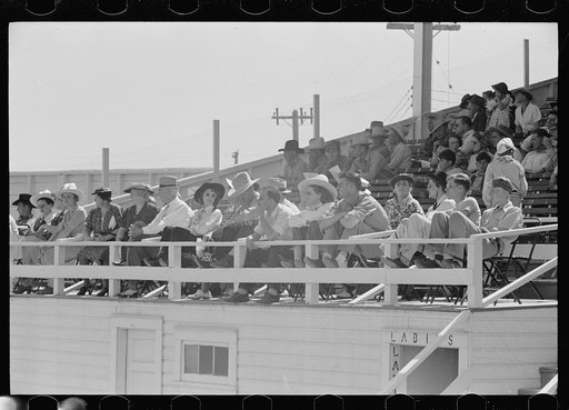 Audience at rodeo, Miles City, Montana