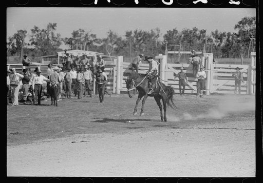 Untitled photo, possibly related to: Bronco rider, rodeo, Miles City, Montana
