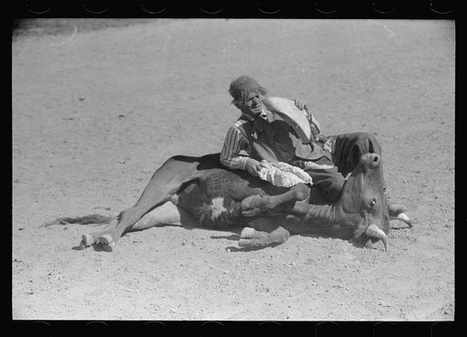 Clown at rodeo, Miles City, Montana