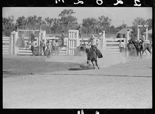 Untitled photo, possibly related to: Bronc rider, rodeo, Miles City, Montana