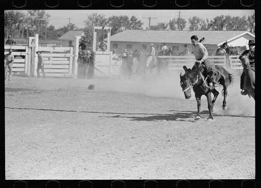 Bronc rider, rodeo, Miles City, Montana