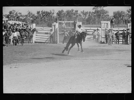 Untitled photo, possibly related to: Bronc rider, rodeo, Miles City, Montana