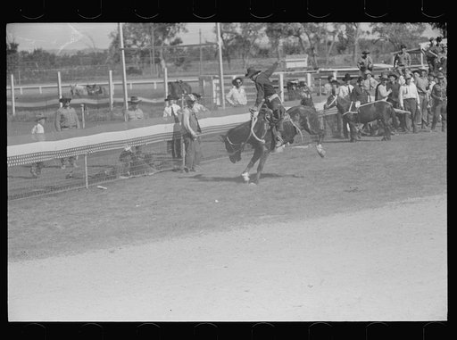 Untitled photo, possibly related to: Bronc rider, rodeo, Miles City, Montana