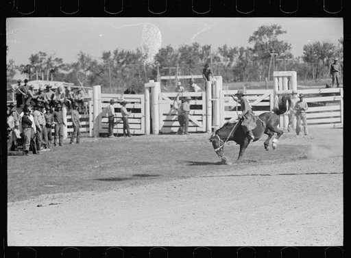 Untitled photo, possibly related to: Bronc rider, rodeo, Miles City, Montana