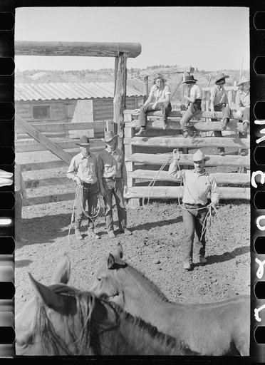 Untitled photo, possibly related to: Roping colt for branding, Quarter Circle U roundup, Montana