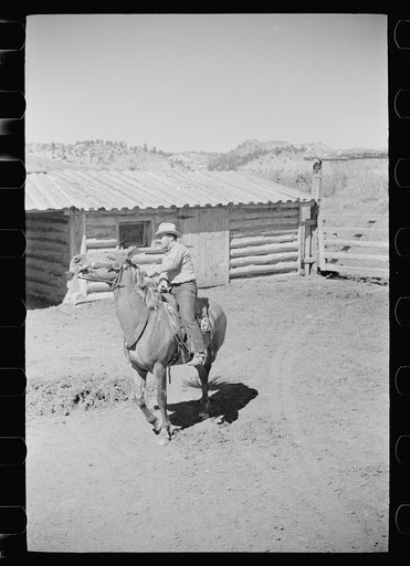 Untitled photo, possibly related to: Driving colts into roundup corral, Quarter Circle U Ranch, Montana