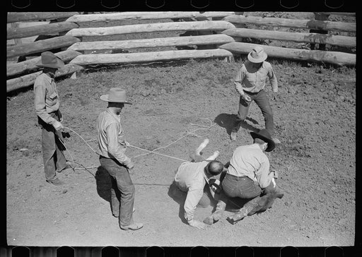 Untitled photo, possibly related to: Branding a colt, Quarter Circle U roundup, Montana