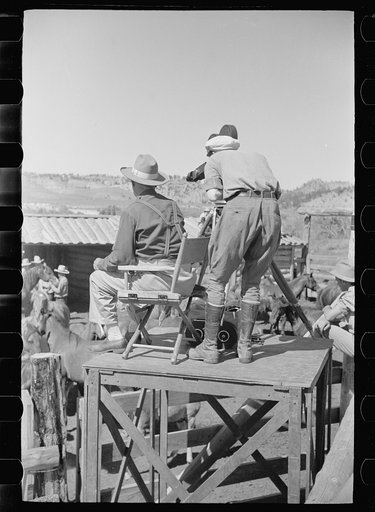Untitled photo, possibly related to: Roping a colt for branding, Quarter Circle U roundup, Montana