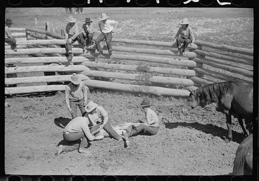 Untitled photo, possibly related to: Branding a colt, Quarter Circle U roundup, Montana