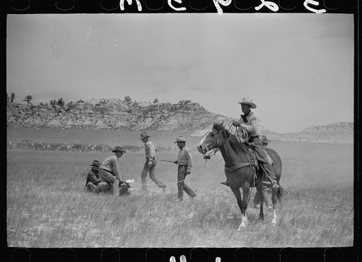 Untitled photo, possibly related to: Catching a strayed colt, Quarter Circle U roundup, Montana