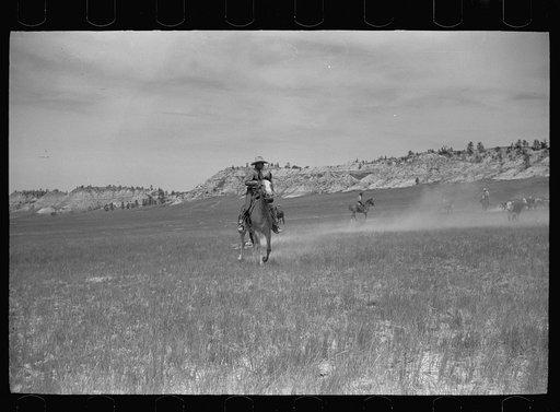Untitled photo, possibly related to: Catching a strayed colt, Quarter Circle U roundup, Montana