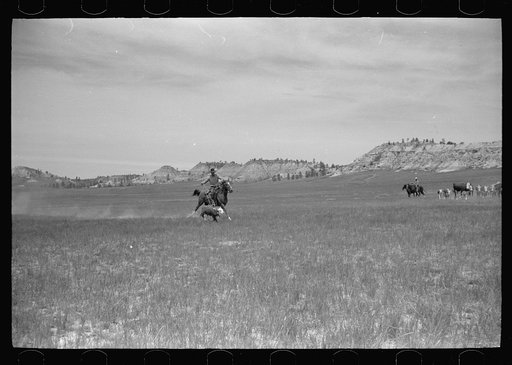 Untitled photo, possibly related to: Catching a strayed colt, Quarter Circle U roundup, Montana
