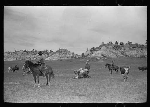 Untitled photo, possibly related to: Milking a wild cow, Quarter Circle U roundup, Montana