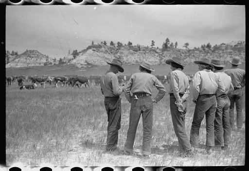 Untitled photo, possibly related to: "Rassling" a calf, Quarter Circle U Ranch, Montana