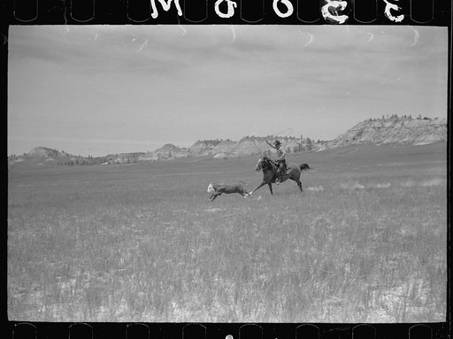 Untitled photo, possibly related to: Branding, Quarter Circle U roundup, Montana