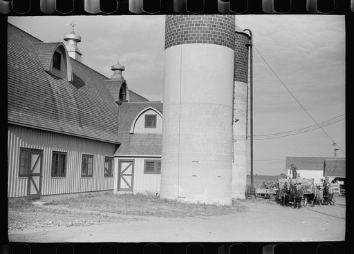 Silo and barn, Brandtjen Dairy Farm, Dakota County, Minnesota