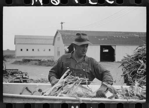 Untitled photo, possibly related to: Silo and barn, Brandtjen Dairy Farm, Dakota County, Minnesota