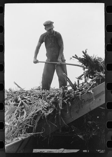 Untitled photo, possibly related to: Silo and barn, Brandtjen Dairy Farm, Dakota County, Minnesota