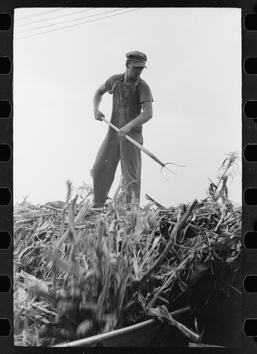 Untitled photo, possibly related to: Silo and barn, Brandtjen Dairy Farm, Dakota County, Minnesota