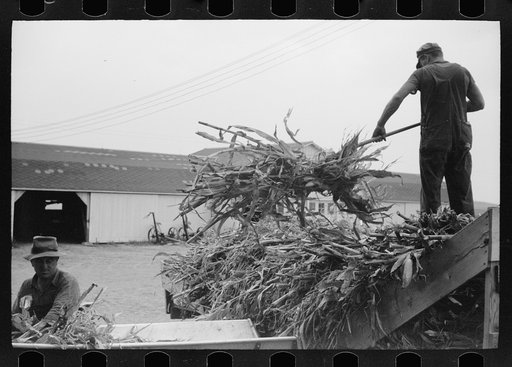 Untitled photo, possibly related to: Silo and barn, Brandtjen Dairy Farm, Dakota County, Minnesota