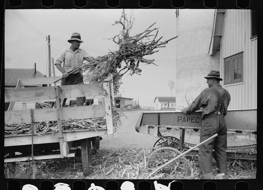 Untitled photo, possibly related to: Silo and barn, Brandtjen Dairy Farm, Dakota County, Minnesota