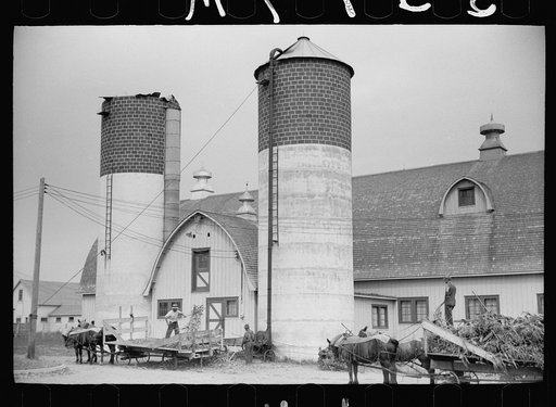 Untitled photo, possibly related to: Silo and barn, Brandtjen Dairy Farm, Dakota County, Minnesota