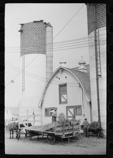 Untitled photo, possibly related to: Silo and barn, Brandtjen Dairy Farm, Dakota County, Minnesota