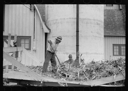 Untitled photo, possibly related to: Silo and barn, Brandtjen Dairy Farm, Dakota County, Minnesota
