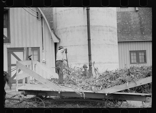 Untitled photo, possibly related to: Silo and barn, Brandtjen Dairy Farm, Dakota County, Minnesota