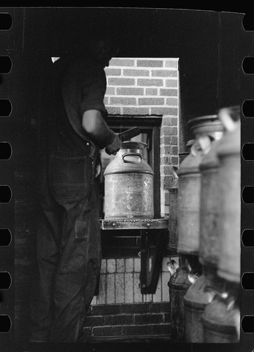 Untitled photo, possibly related to: Unloading a milk truck at pasteurizing plant, Farmington, Minnesota