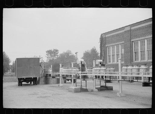 Untitled photo, possibly related to: Unloading a milk truck at pasteurizing plant, Farmington, Minnesota