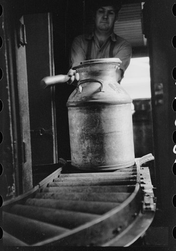 Untitled photo, possibly related to: Running milk cans through sterilizing machine, Farmington, Minnesota