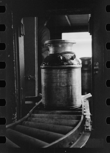 Untitled photo, possibly related to: Running milk cans through sterilizing machine, Farmington, Minnesota
