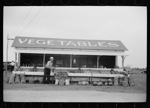 Vegetable stand along highway, Rice County, Minnesota
